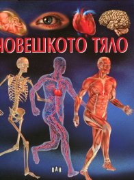 Човешкото тяло