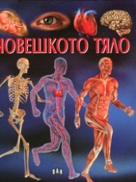 Човешкото тяло