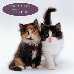 Calendar 2018: Kittens