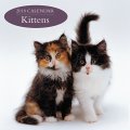Calendar 2018: Kittens