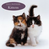 Calendar 2018: Kittens