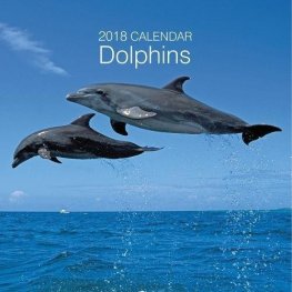 Calendar 2018: Dolphins